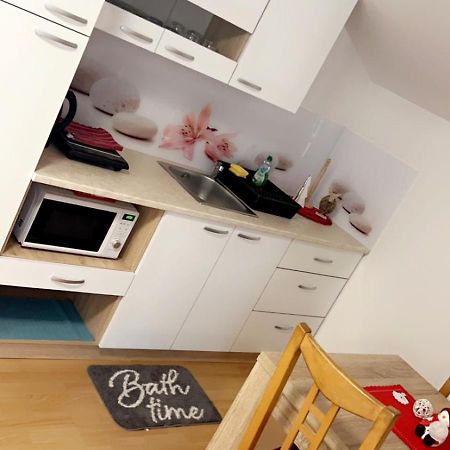 Apartments And Wellness Scavnicar 류토메르 외부 사진