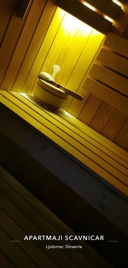 Apartments And Wellness Scavnicar 류토메르 외부 사진