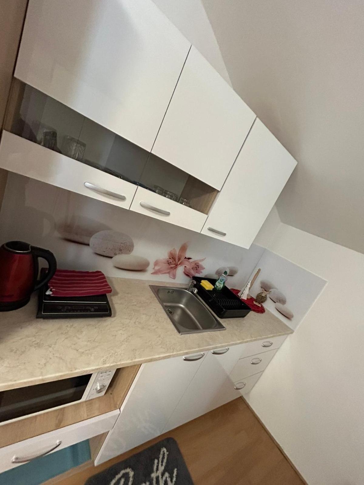 Apartments And Wellness Scavnicar 류토메르 외부 사진